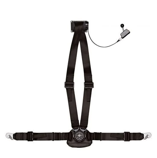 Pilot / co-pilot seat harness